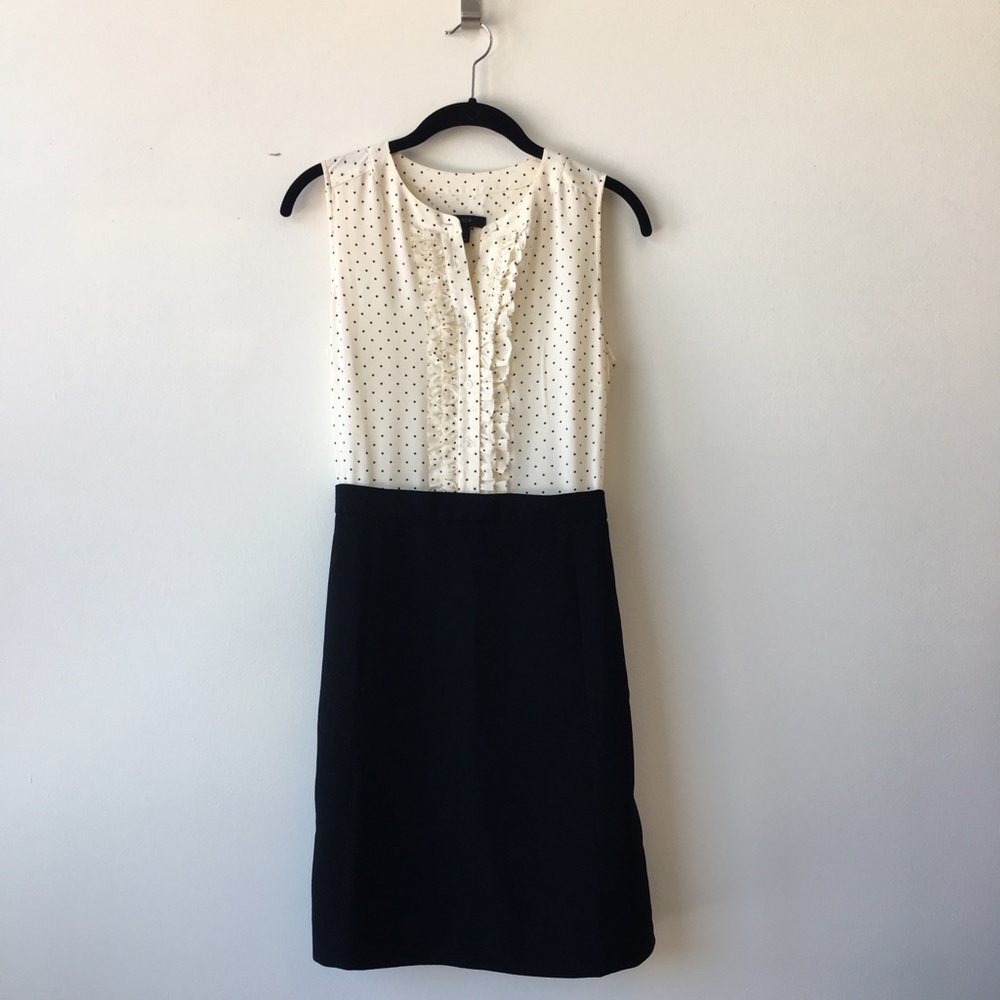 J. Crew Dress 2